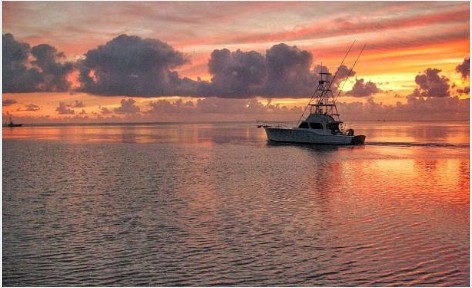 Billy Bob Charters trip photo 1