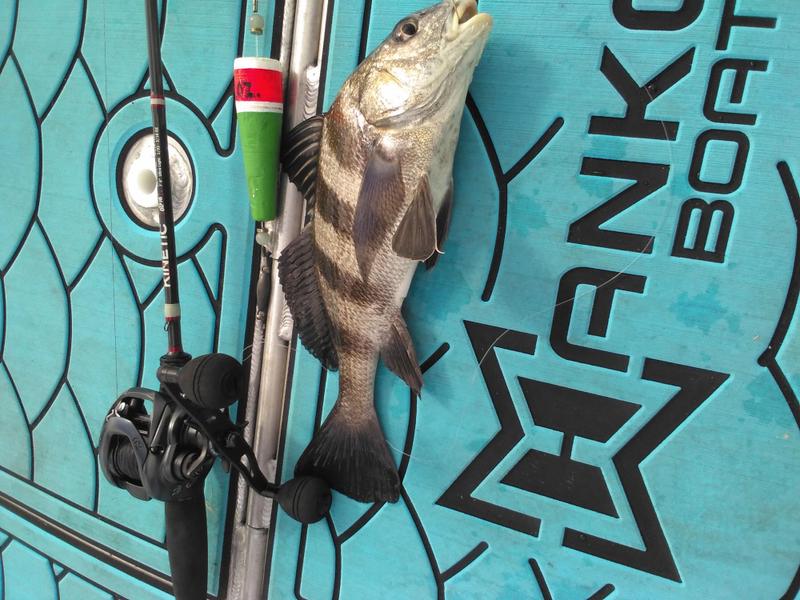 Capt. Dave's Sport Fishing photo